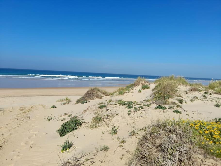 Apartamento Playa La Barrosa Chiclana de la Frontera Bagian luar foto