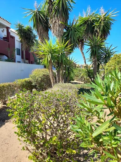 Apartamento Playa La Barrosa Chiclana de la Frontera Bagian luar foto