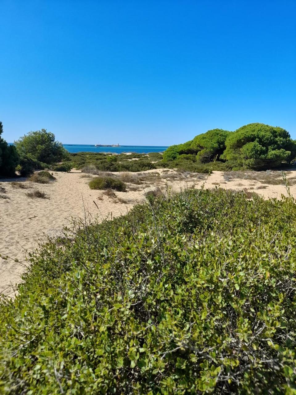 Apartamento Playa La Barrosa Chiclana de la Frontera Bagian luar foto